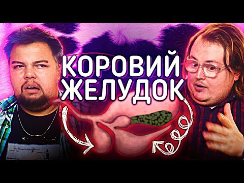 Видео: ЖЕЛУДОК КОРОВЫ