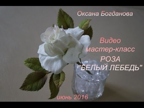 Видео: Видео мастер-класс Роза "Белый лебедь"