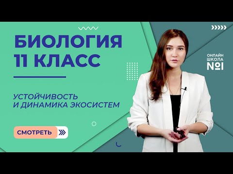 Видео: Устойчивость и динамика экосистем. Видеоурок 29. Биология 11 класс