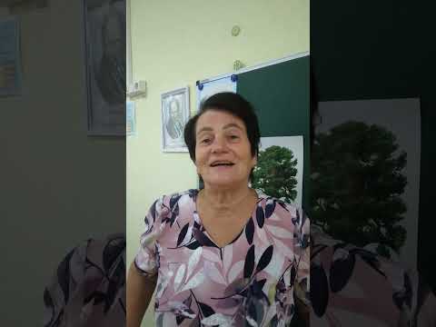 Видео: 24 сентября 2025 г.