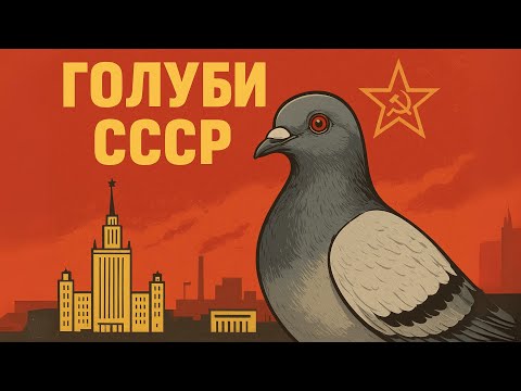 Видео: СССР и ГОЛУБЯТНИ: хобби, объединившее МИЛЛИОНЫ!