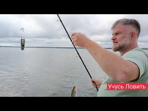 Видео: Учусь Ловить на оз. Сиг с фидером. ч.2 ЭКО комплекс СДЛ.#рыбалка#на большой воде