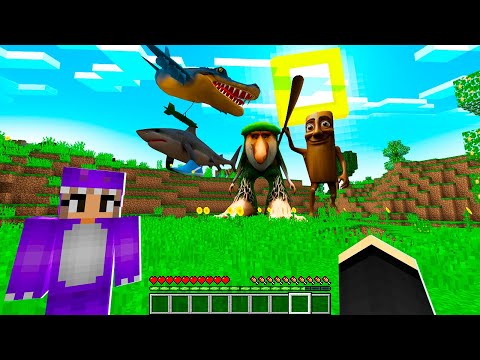 Видео: ВЫЖИВАНИЕ В МИРЕ БРЕЙНРОТ МЕМОВ В МАЙНКРАФТ! ЕНОТИК И ФИАЛКА BRAINROT MINECRAFT