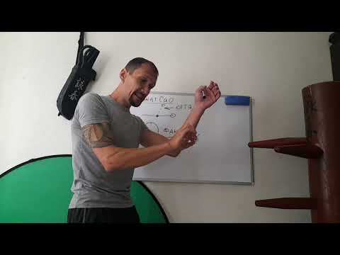 Видео: Вин Чун "Реально или Фейк"- Лап Сао, Фак Сао, удары ног.