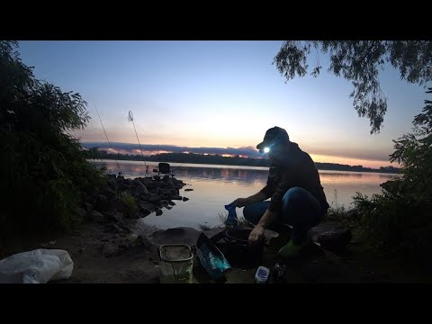Видео: 🎣З ФІДЕРОМ ОСТАННІЙ ДЕНЬ ЛІТА🐳 ШУКАЕМО ПЛОТВУ🐳 РИБОЛОВЛЯ 2025🇺🇦