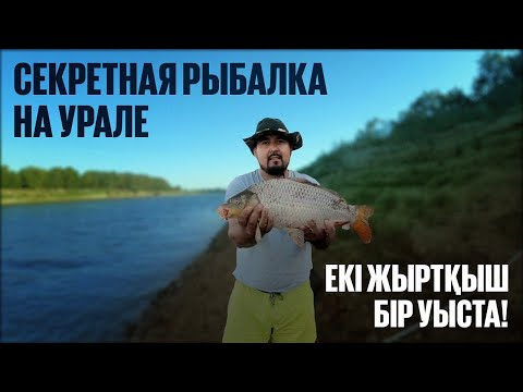 Видео: ЕКІ ЖЫРТҚЫШ БІР УЫСТА! САЗАН мен СУДАҚТЫ БІР КҮНДЕ АУЛАДЫМ!