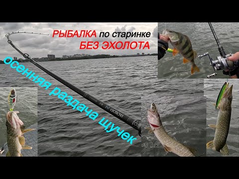 Видео: Осенняя раздача щучек  Рыбалка без эхолота, по старинке. JS company BIXOD N B3 BC702MH-X шикарен!!!