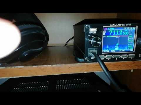 Видео: Трансивера Icom 7300 и маламут м2 на приём.
