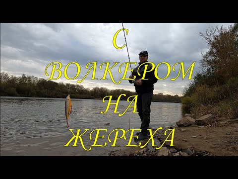 Видео: С ВОЛКЕРОМ НА ЖЕРЕХА \ Супер приманка \ #приманки #самодельныеприманки #жерех #волкер