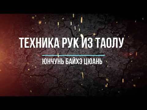 Видео: Урок 140 . Применение техник из таолу "Белый Журавль Машет Крыльями" школы- Юнчунь Байхэ Цюань.