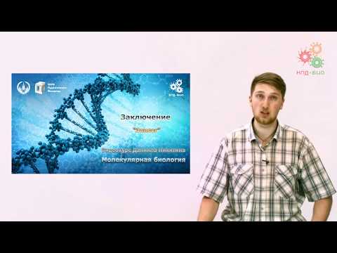 Видео: Заключение. Эпилог