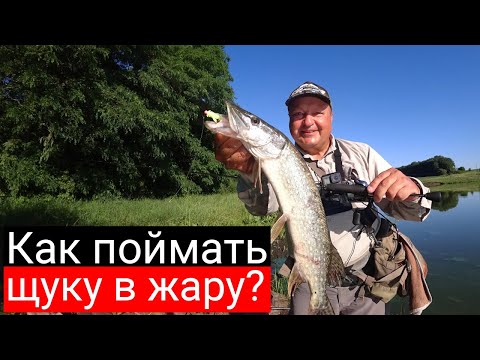 Видео: ЩУКА ЛЕТОМ В ЖАРУ на микроджиг: на что ловить и как поймать её? Щучий тест Arion 702 ULS