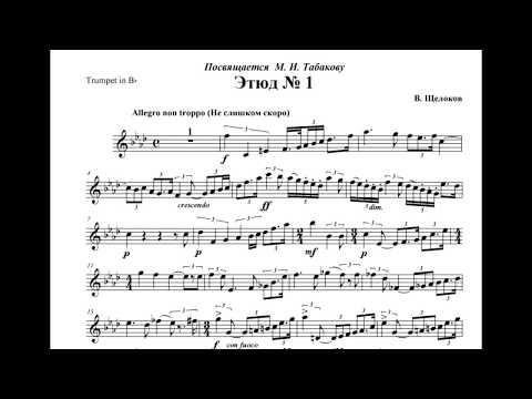 Видео: Щелоков Этюд №1