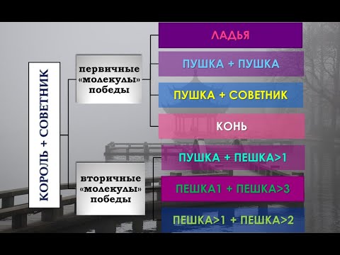 Видео: Эндшпиль китайских шахмат - №3 - Против короля и советника