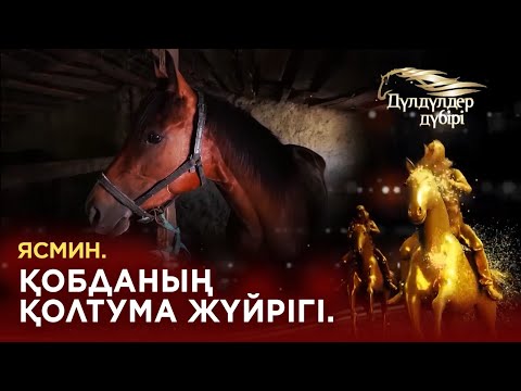 Видео: Ясмин. Қобданың қолтума жүйрігі. «Дүлдүлдер дүбірі»