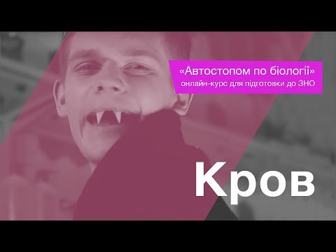 Видео: Кров – Підготовка до ЗНО – Біологія