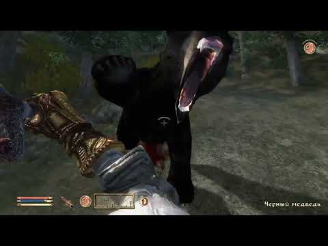 Видео: The Elder Scrolls IV Oblivion 27б