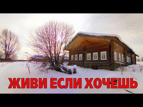 Видео: ОГРОМНЫЕ ПОКИНУТЫЕ ДОМА. Путешествие в заброшенный и покинутый мир Русского севера.