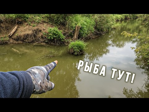 Видео: НИКОГДА БЫ НЕ ПОВЕРИЛ что В ТАКОЙ МУТНОЙ реке ЕСТЬ РЫБА 😲 / РЫБАЛКА на XUL спиннинг