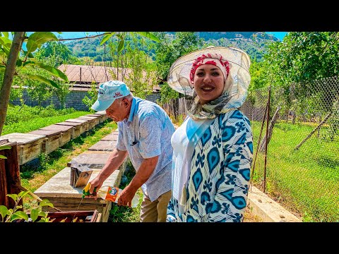 Видео: Узбекистан! Жизнь ПЧЕЛОВОДА в горах! ПОКУСАЛИ ПЧЁЛЫ! Раздулось ЛИЦО! КАЗАН - Кабоб! Сельская ЖИЗНЬ!