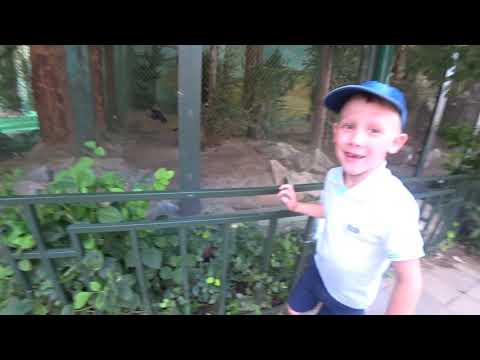 Видео: Поход в екатеринбургский зоопарк!