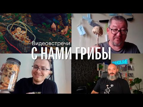 Видео: С нами грибы. Грибы и Грибники №1. Михаил Вишневский, Игорь Гордеев, Александр Горбацевич