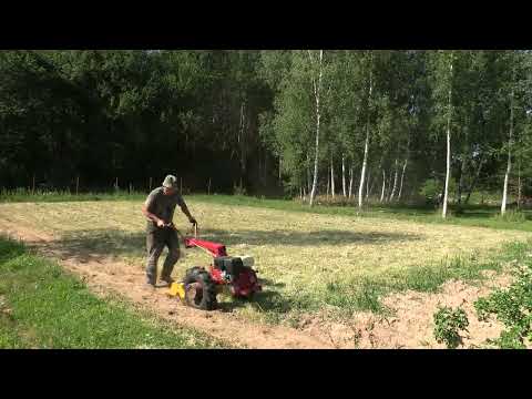 Видео: 17.07.2023. Заделка сидератов фрезой ФР-00010. Мотоблок МТЗ Weima WM188F 13л/с