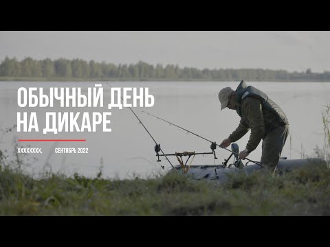 Видео: Ловля карпа в завоз на дикаре. Один день.