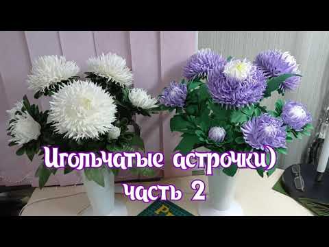 Видео: Игольчатые астрочки))) часть 2