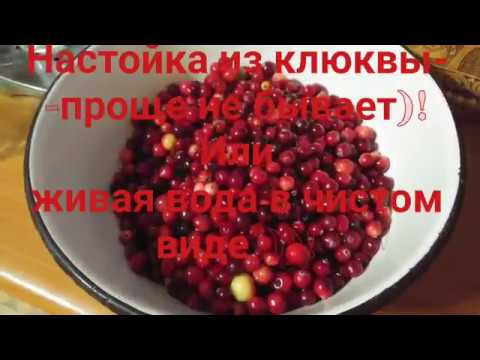 Видео: Настойка из клюквы от Вискария Бурбоновича)!