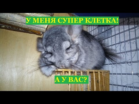 Видео: Обзор клетки шиншиллы (часть 2), наполнение клетки шиншиллы / Что за зверь такой шиншилла?