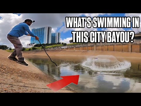 Видео: Что произойдет, если закинуть сеть в городскую реку?