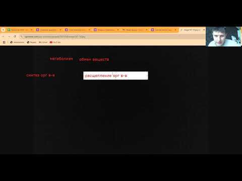 Видео: Что вас ждет на ЦТ и немного про метаболизм.