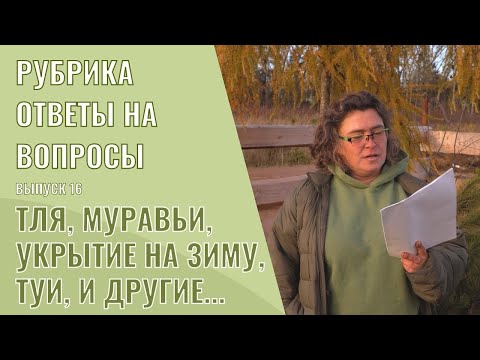 Видео: Ответы на вопросы Выпуск 16