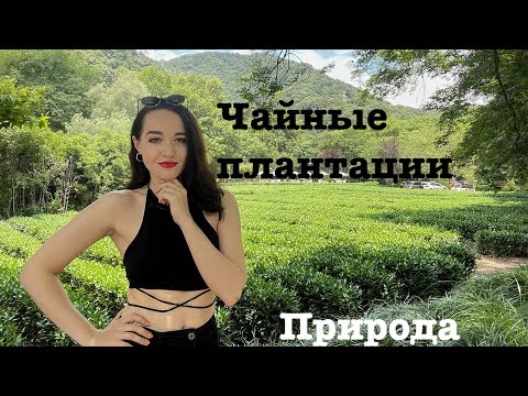 Видео: Чайные плантации 🍃🍵Ханчжоу, Китай