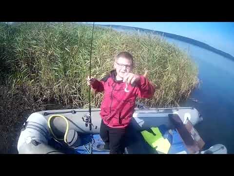 Видео: рыбалка на Оби, август 2024