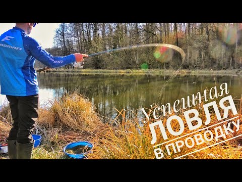 Видео: ЛОВЛЯ Рыбы В ПРОВОДКУ. Поклевки на ПОПЛАВОК Крупным Планом!