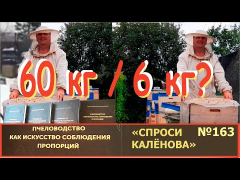 Видео: Почему один медовик дал 60 кг? А другой только 6? "Спроси Калёнова" - №163 Пчелы и Пчеловодство.