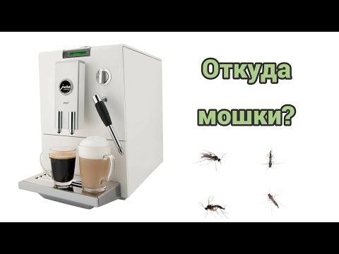 Видео: В кухне стали летать мошки. Источник - jura ena 5, которую никогда не чистили.
