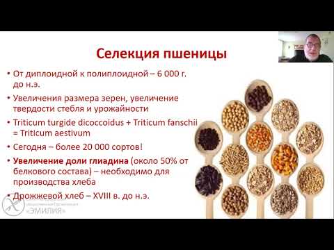 Видео: Целиакия у детей. Лекция №1