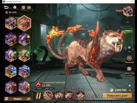 Видео: DLS звери крит комбо а сколько надо на начальном этапе