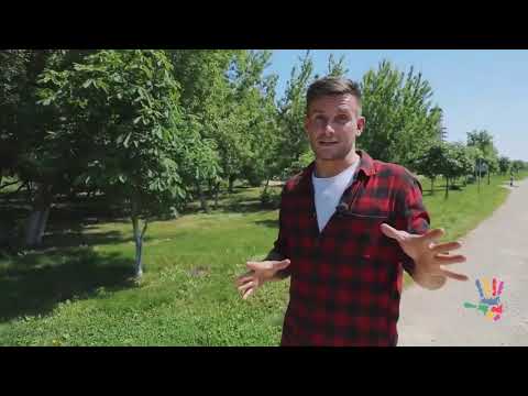 Видео: Семь чудес земли Липецкой. Выпуск про усадьбу Скорняково-Архангельское.