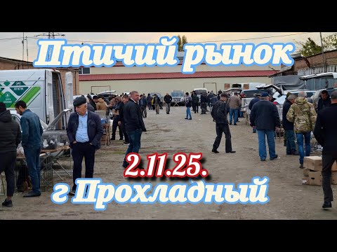 Видео: Голуби цены Птичий рынок г Прохладный
