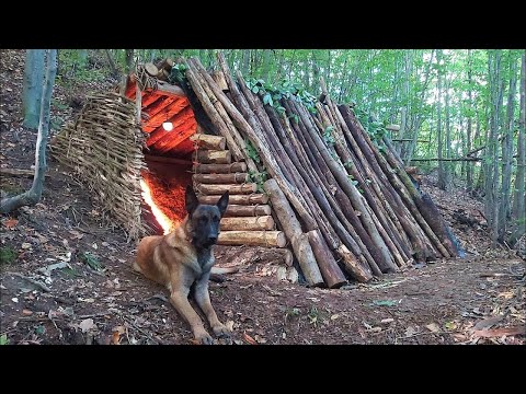 Видео: Дом викингов: восстановление примитивного укрытия с помощью ручных инструментов, дикий кемпинг