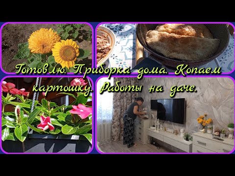 Видео: Готовлю. Приборка дома. Копаем картошку. Работы на даче. 