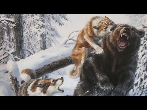 Видео: ОХОТА НА МЕДВЕДЯ В ОДИНОЧКУ, КАК ОНА ЕСТЬ, БЕЗ ПРИКРАС