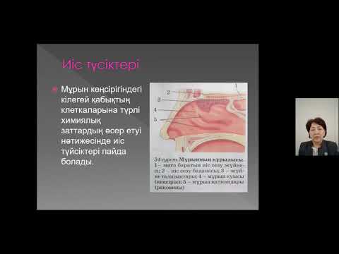 Видео: 8.Түйсік