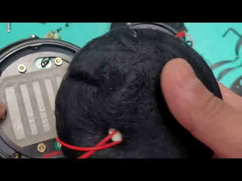 Видео: Audeze LCD 2 CLOSED слиплись