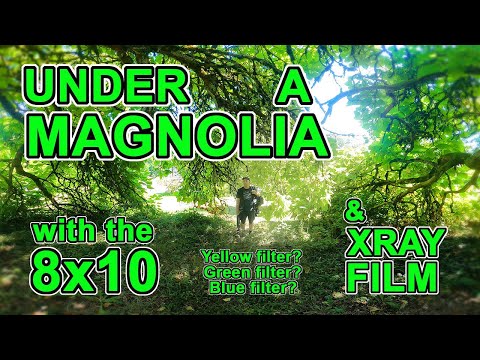 Видео: Пленка XRAY и три фильтра: желтый, зеленый, синий…