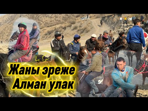 Видео: Жаны тартиптеги Аламан улак Ноокат Кара таш 05.10.25